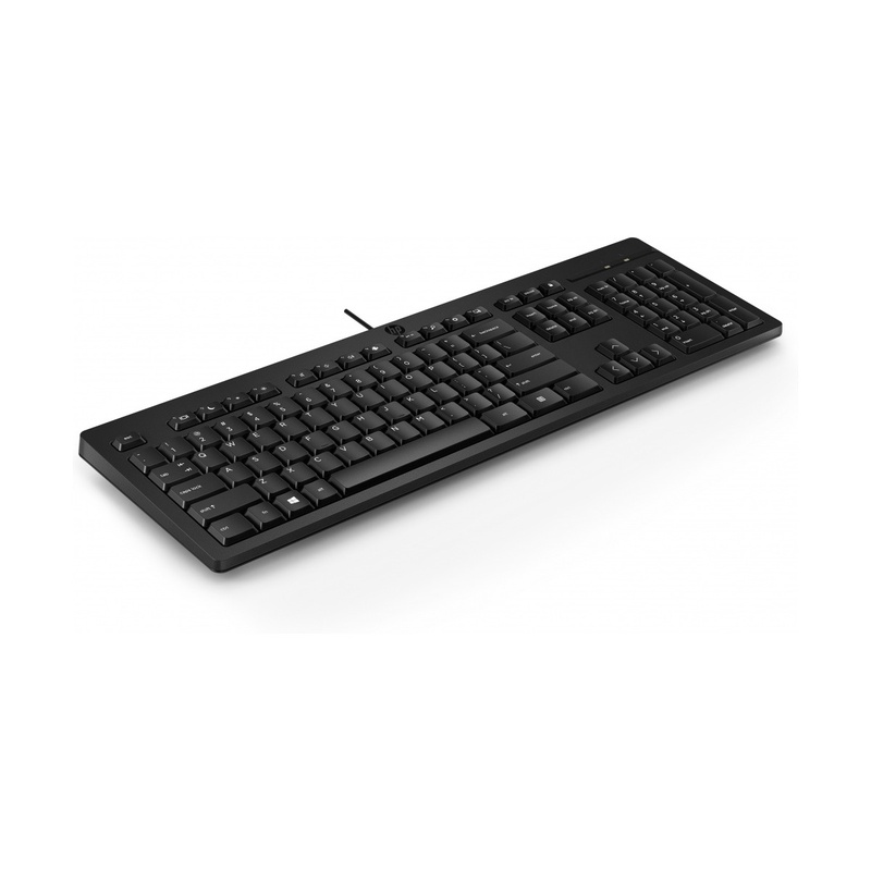 [266C9AA] Teclado HP 125, Alámbrico, USB, Negro, Español